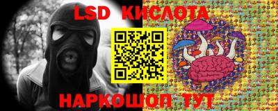 амф Гусь-Хрустальный