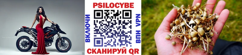 darknet какой сайт Касимов Псилоцибиновые грибы MAGIC MUSHROOMS