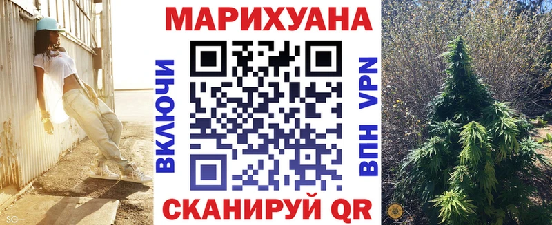 Марихуана сатива Касимов